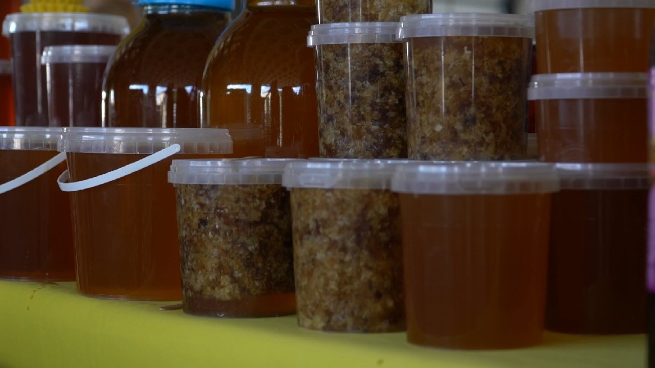 Бджолиний хліб та 50 сортів меду: у Харкові запрацював Медовий ярмарок