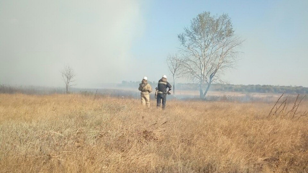 Пожежа під Чугуєвом: спеціалісти беруть проби повітря, рятувальники задіяли вертоліт