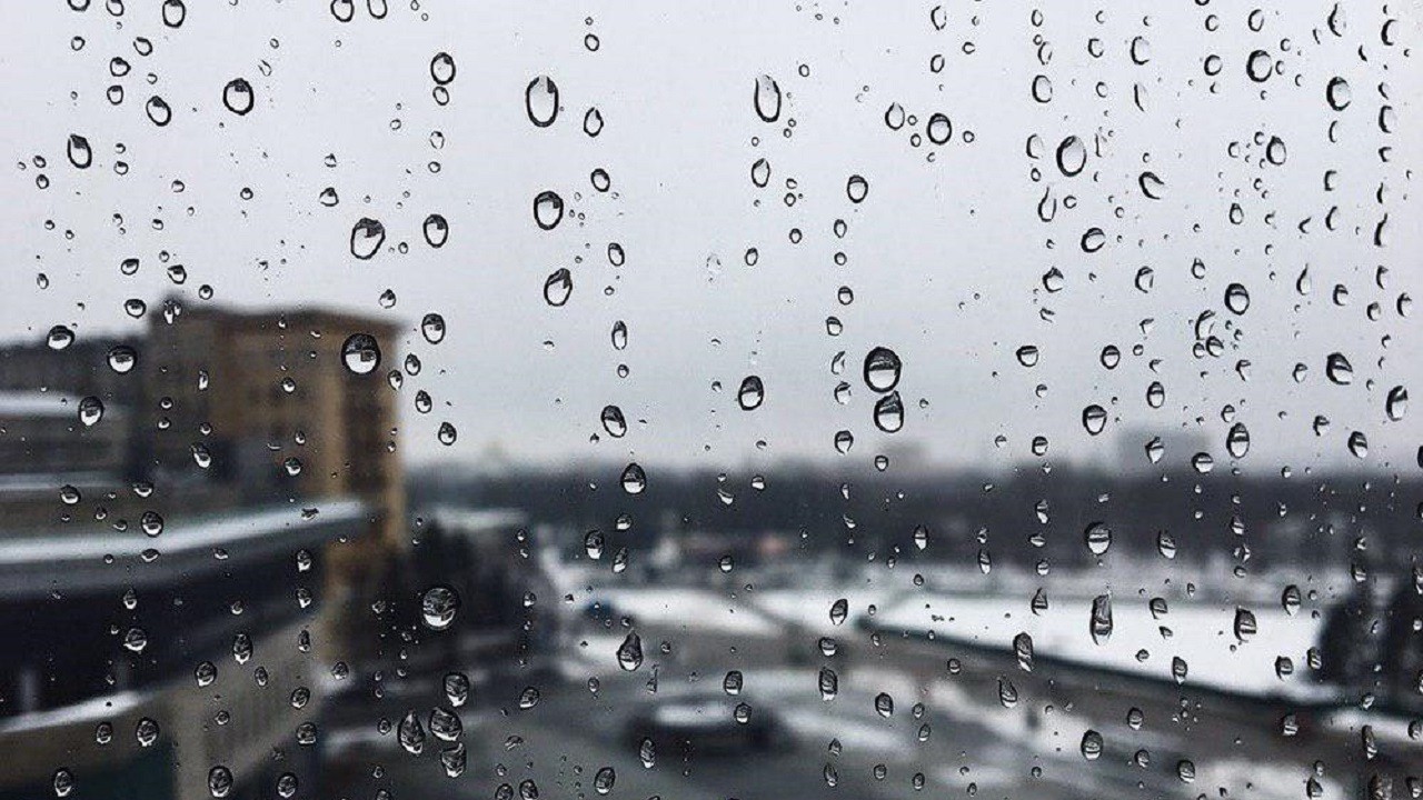 На Харківщині протягом двох днів дощитиме, пориви вітру до 20 м/с — гідрометцентр