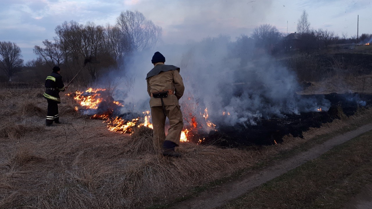 На Харківщині через пожежі в екосистемах загинула людина, пошкоджено майно