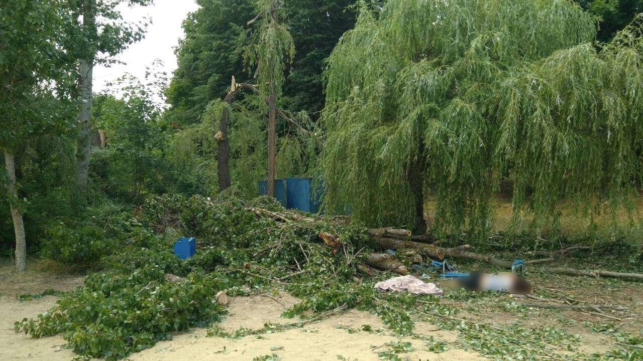 У лікарні померла 28-річна жінка, на яку впало дерево в Старому Салтові
