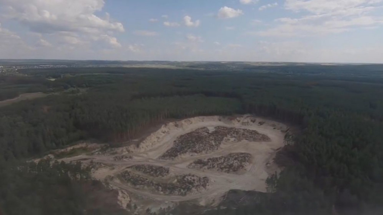 Майже 60 мільйонів гривень: у ДБР озвучили нову суму збитків від вирубки лісу на Харківщині