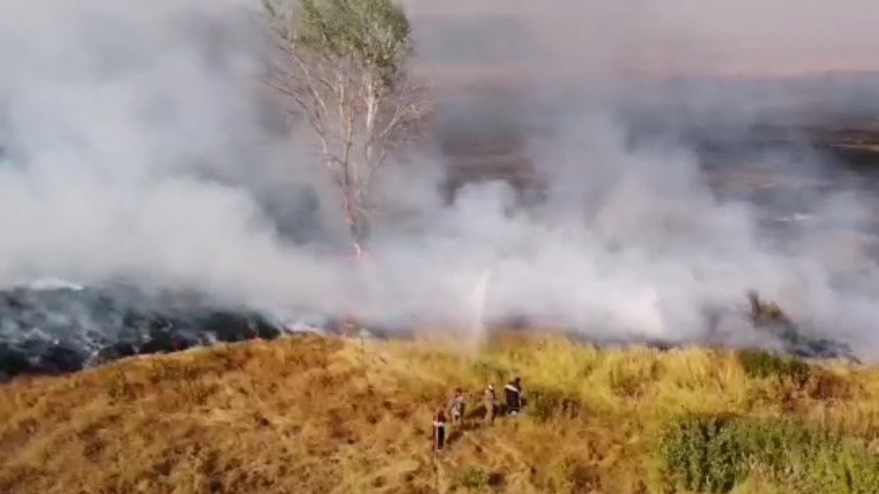 Пожежу на полігоні під Чугуєвом загасили — речник Міноборони